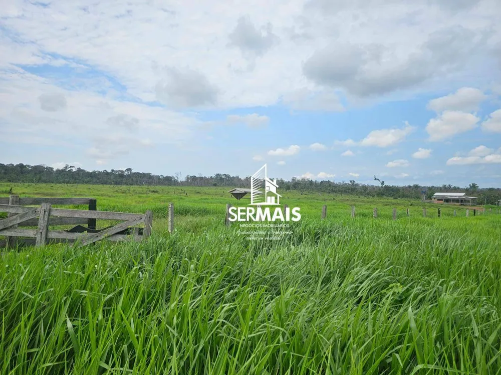 Fazenda, 6077 hectares - Foto 6
