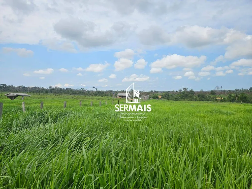 Fazenda, 6077 hectares - Foto 7