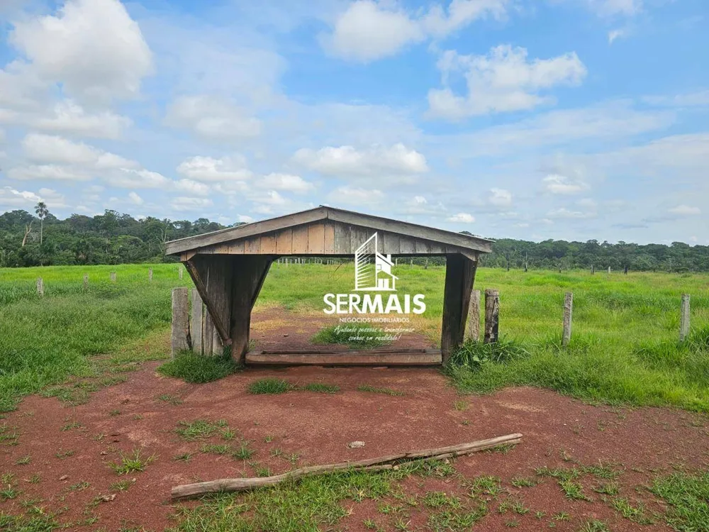 Fazenda, 6077 hectares - Foto 8
