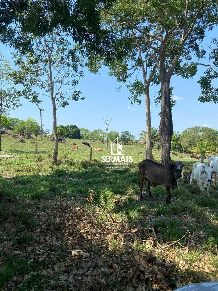 Chácara, 1 quarto, 8 hectares - Foto 4