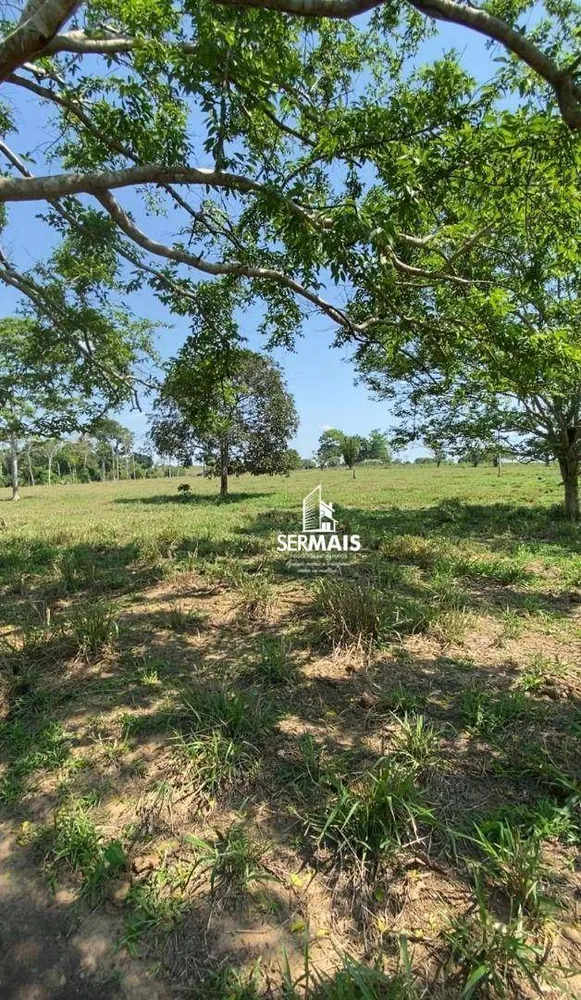 Chácara, 1 quarto, 8 hectares - Foto 3