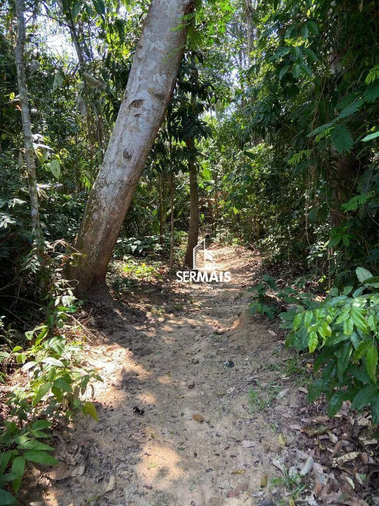 Chácara, 1 quarto, 8 hectares - Foto 4
