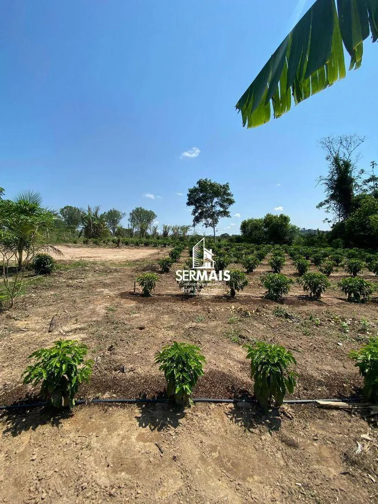 Chácara, 1 quarto, 8 hectares - Foto 11