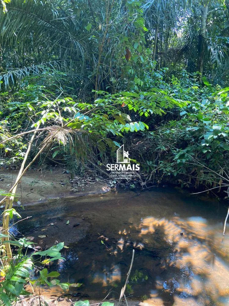 Chácara, 1 quarto, 8 hectares - Foto 8