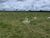 Fazenda, 1057 hectares - Foto 3