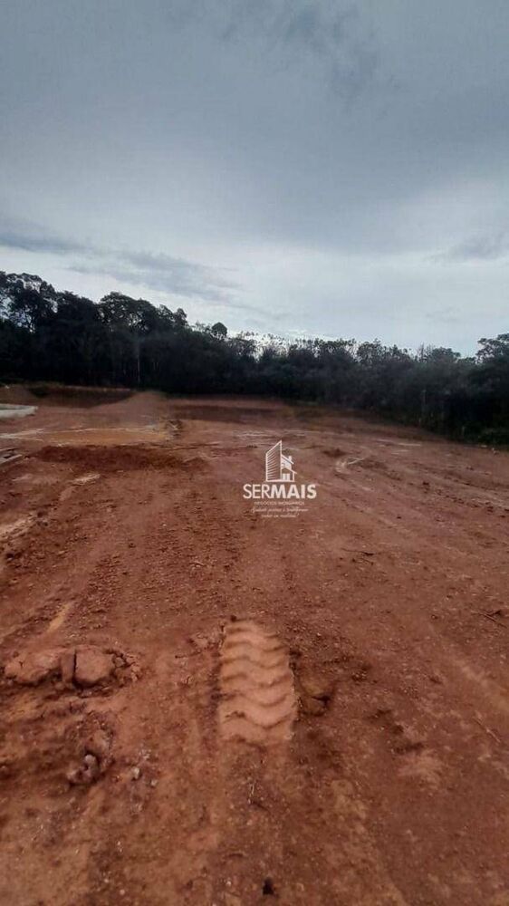 Terreno, 10000 m² - Foto 3