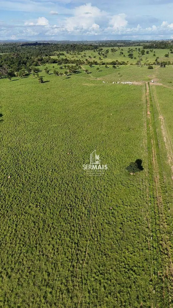 Fazenda, 174 m² - Foto 3