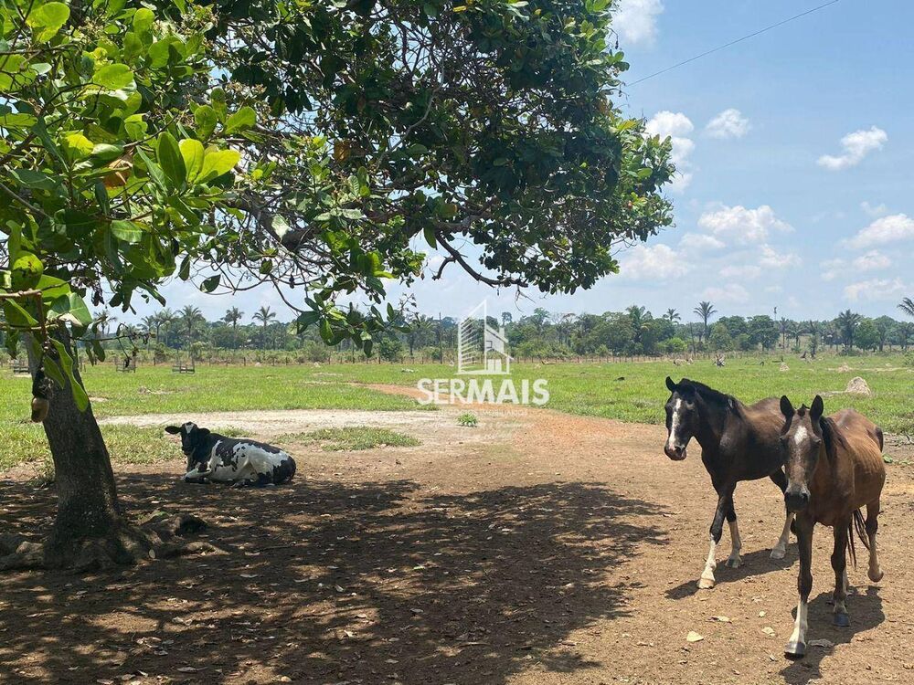 Fazenda, 500 m² - Foto 6