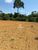 Sítio, 162 hectares - Foto 1