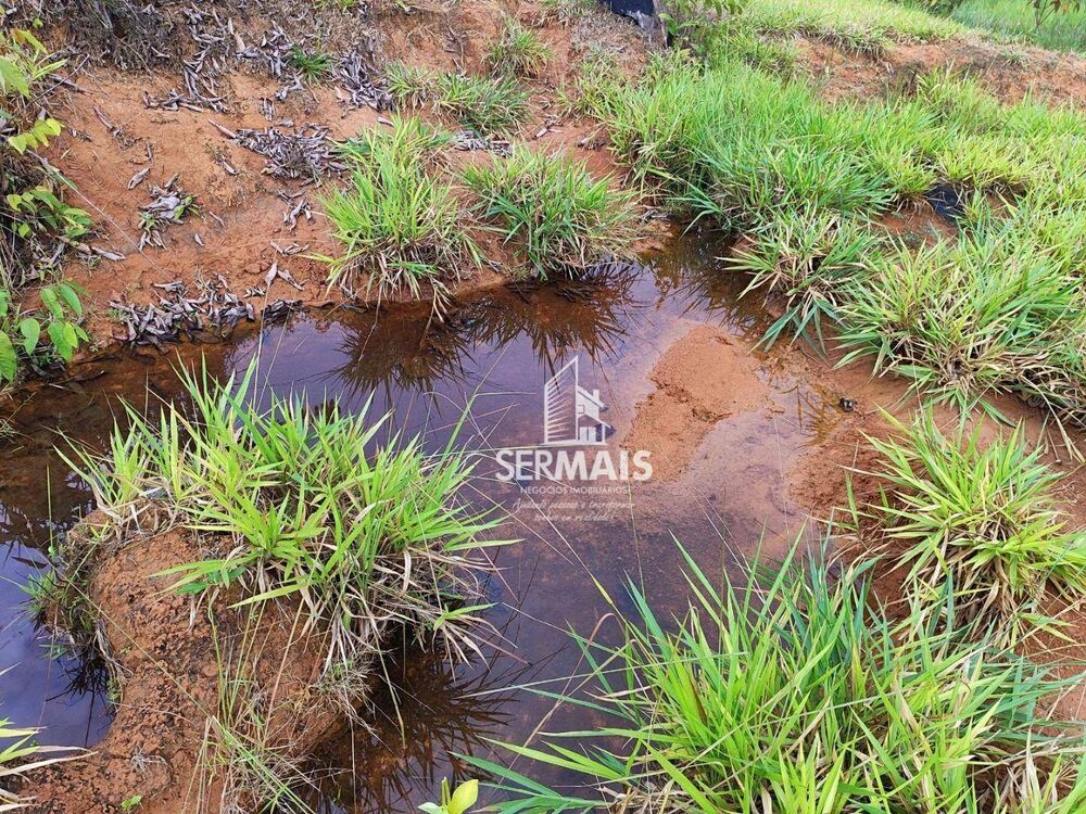 Fazenda, 51 hectares - Foto 3