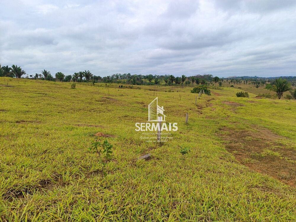 Fazenda, 51 hectares - Foto 2