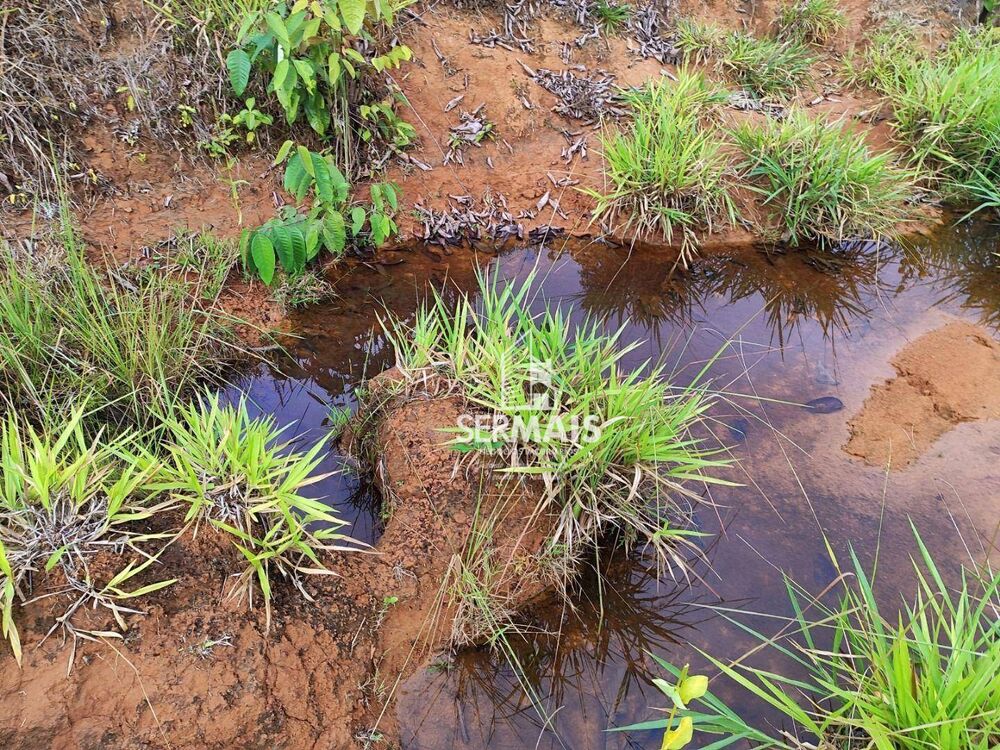 Fazenda, 51 hectares - Foto 4