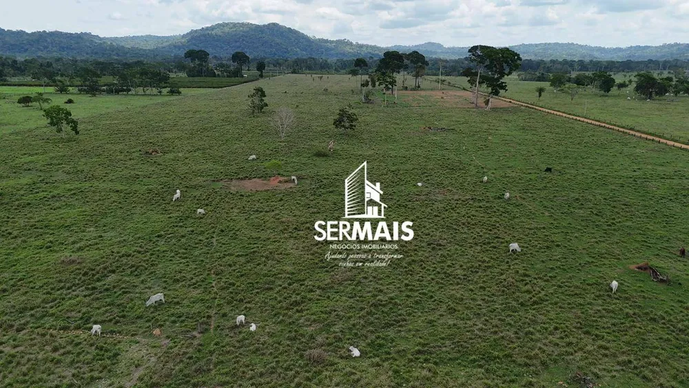 Fazenda, 220 hectares - Foto 9
