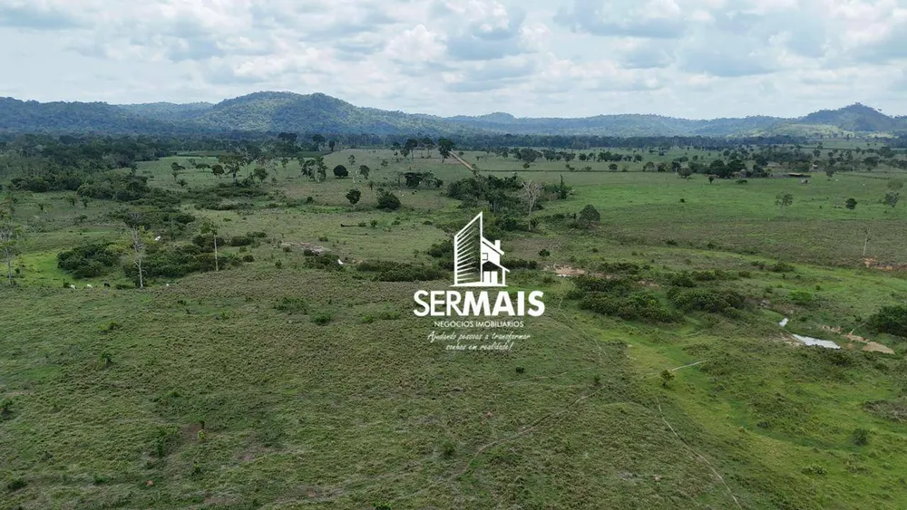 Fazenda, 220 hectares - Foto 8