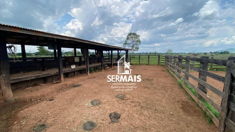 Fazenda, 220 hectares - Foto 4