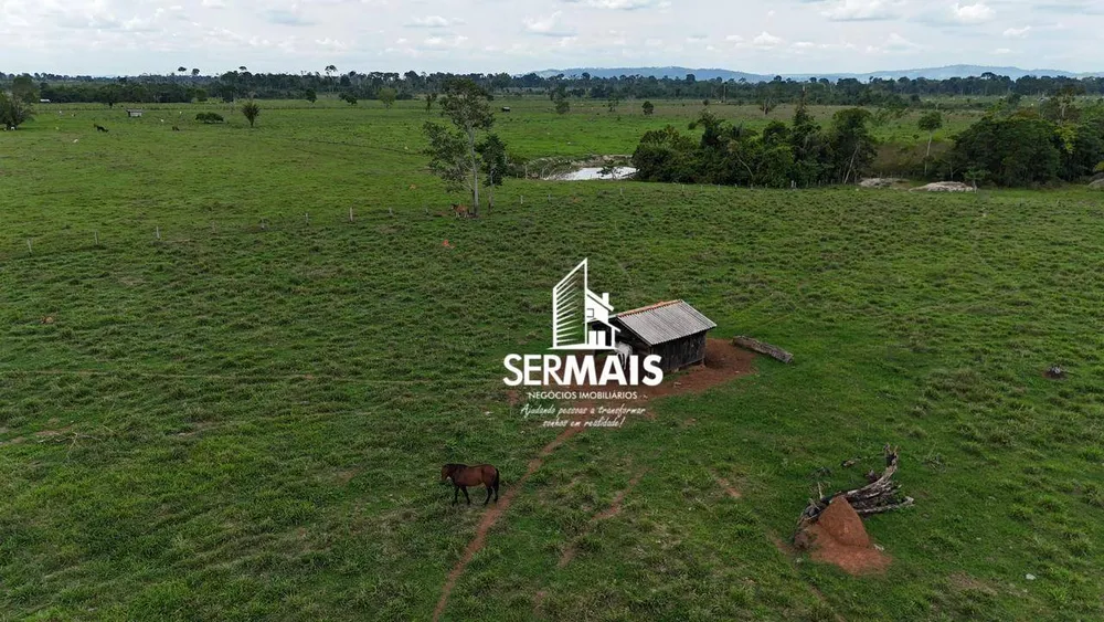 Fazenda, 220 hectares - Foto 6