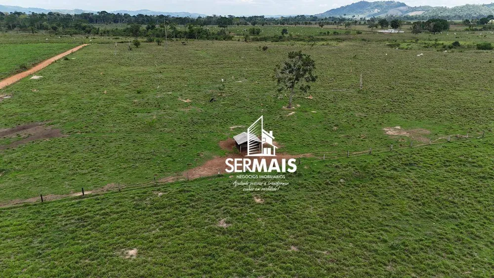 Fazenda, 220 hectares - Foto 10