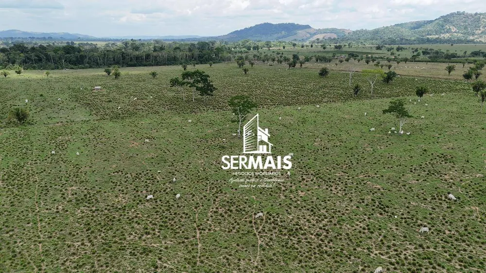 Fazenda, 220 hectares - Foto 7