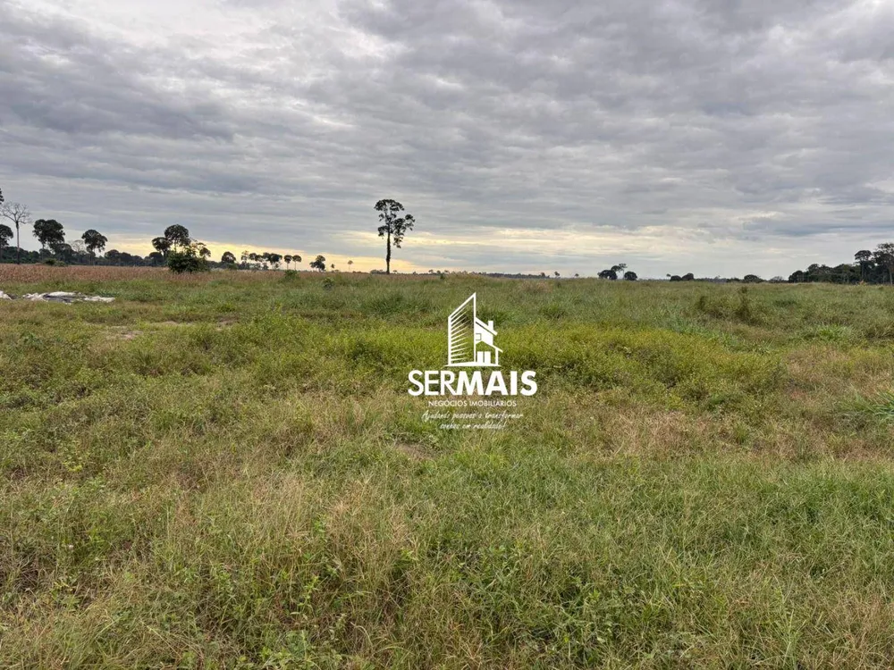 Fazenda, 289 hectares - Foto 8