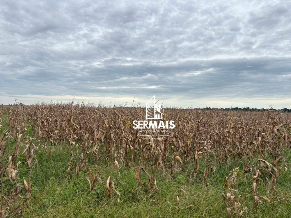 Fazenda, 289 hectares - Foto 3
