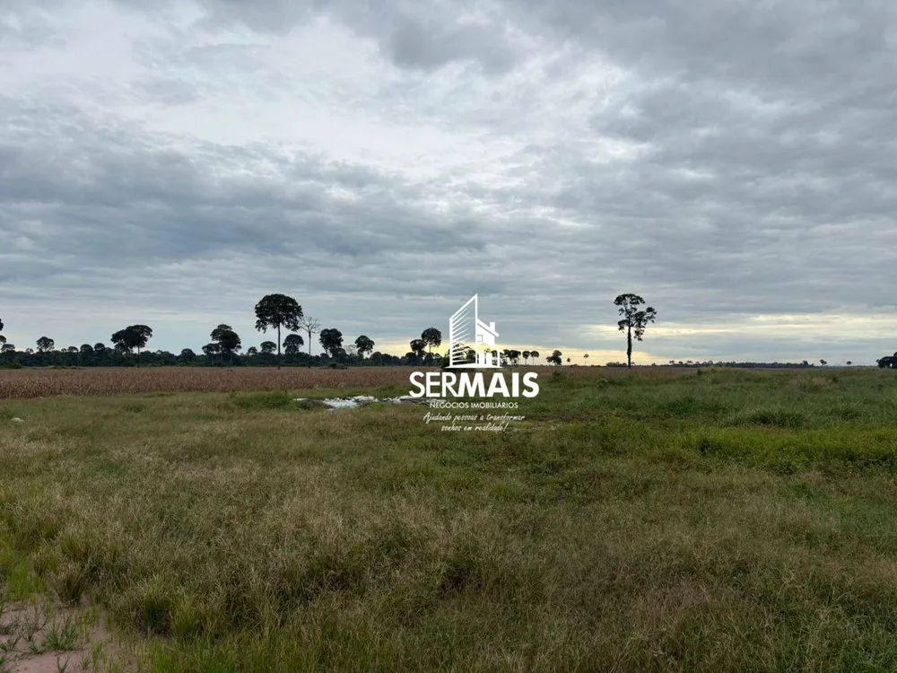Fazenda, 289 hectares - Foto 5