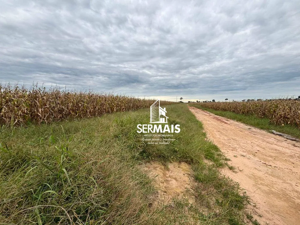Fazenda, 289 hectares - Foto 2
