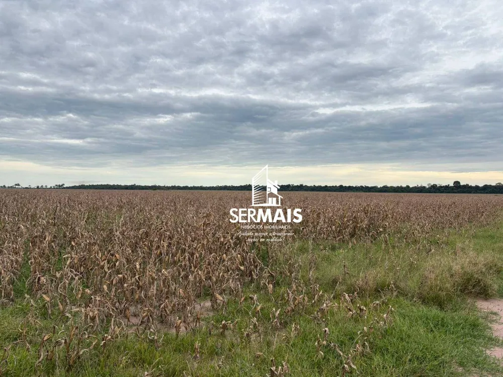 Fazenda, 289 hectares - Foto 7