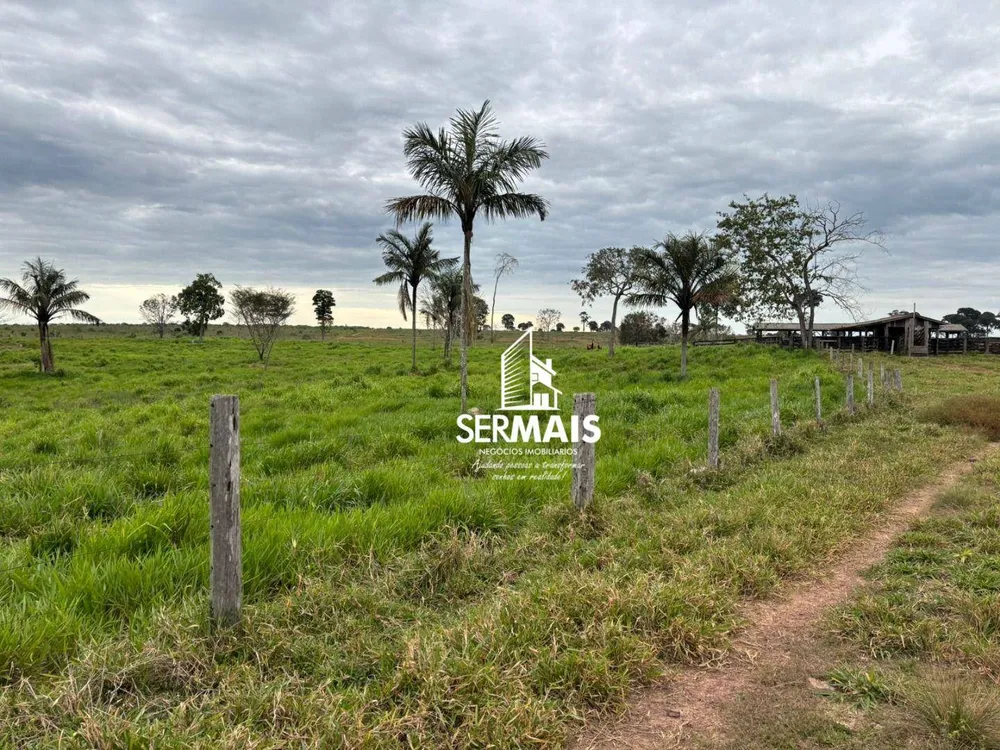 Fazenda, 289 hectares - Foto 6