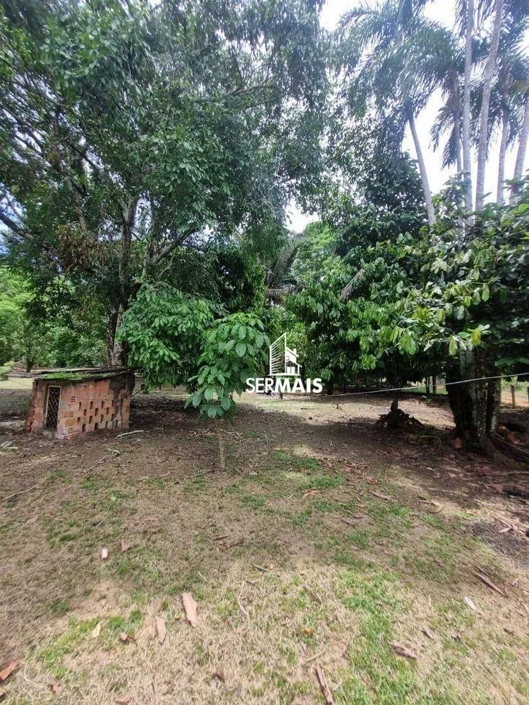 Chácara, 1 quarto, 5000 m² - Foto 4