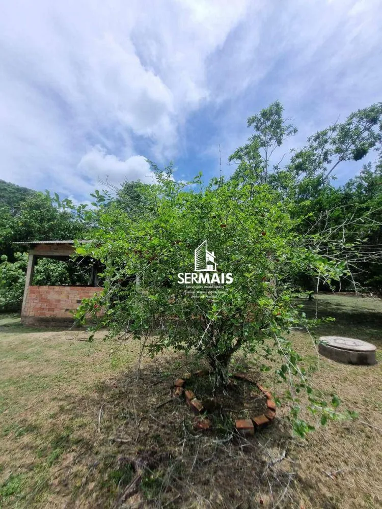 Chácara, 1 quarto, 5000 m² - Foto 6