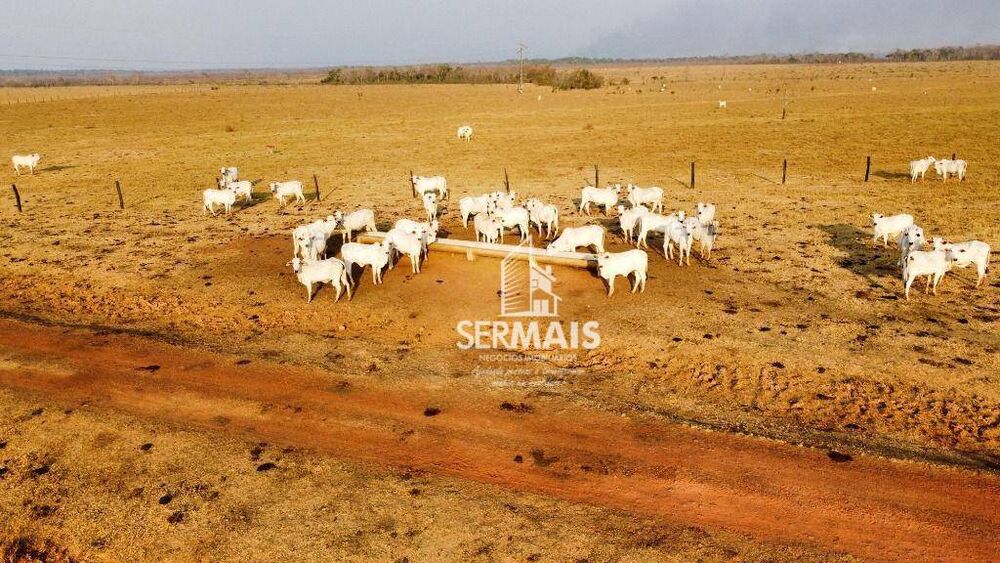 Fazenda, 1834 m² - Foto 5