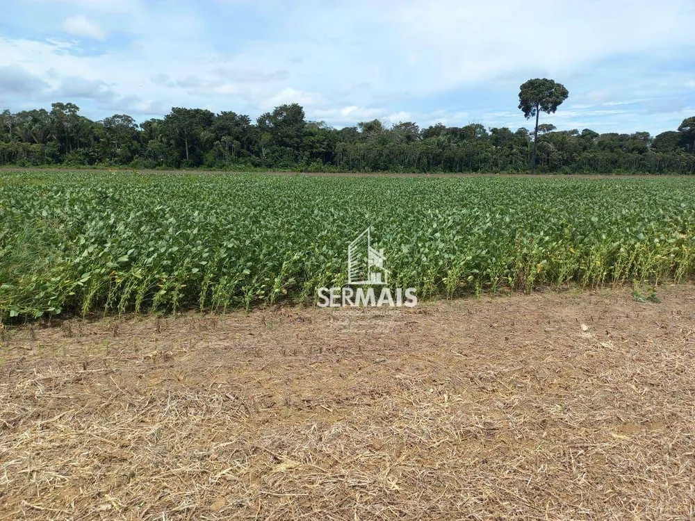 Fazenda, 844 hectares - Foto 1