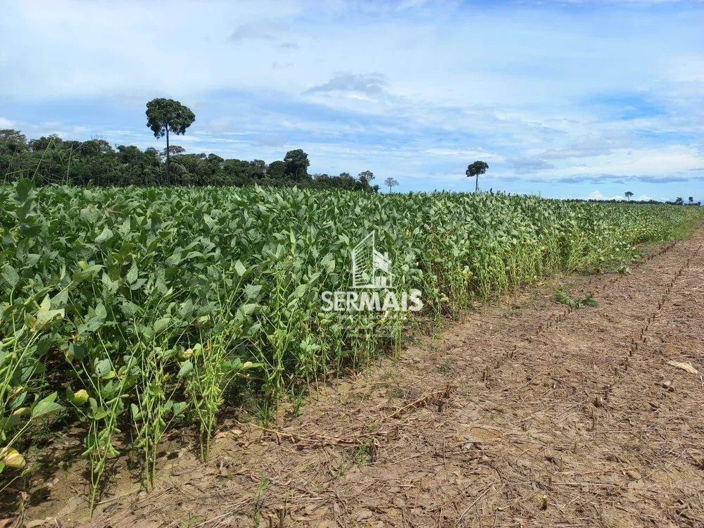 Fazenda, 844 hectares - Foto 3