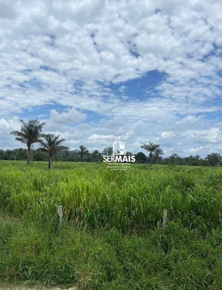 Fazenda, 403 hectares - Foto 4