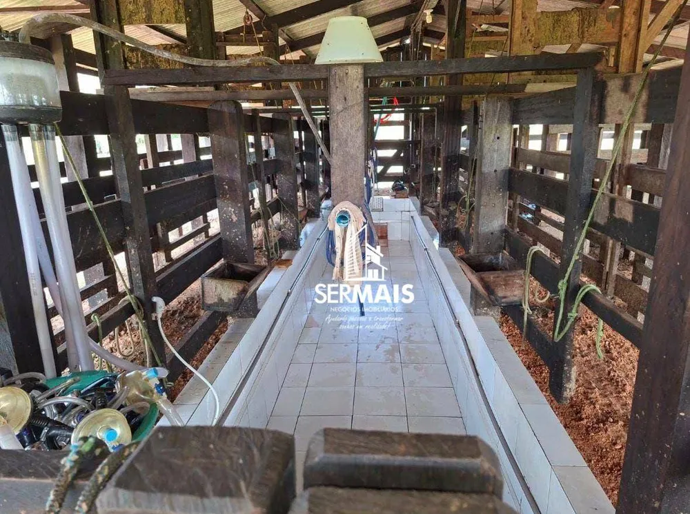 Fazenda, 403 hectares - Foto 6