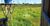 Fazenda, 1500 hectares - Foto 6