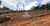 Fazenda, 1500 hectares - Foto 7