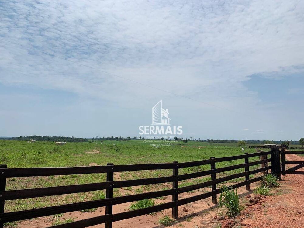 Fazenda, 257 hectares - Foto 9