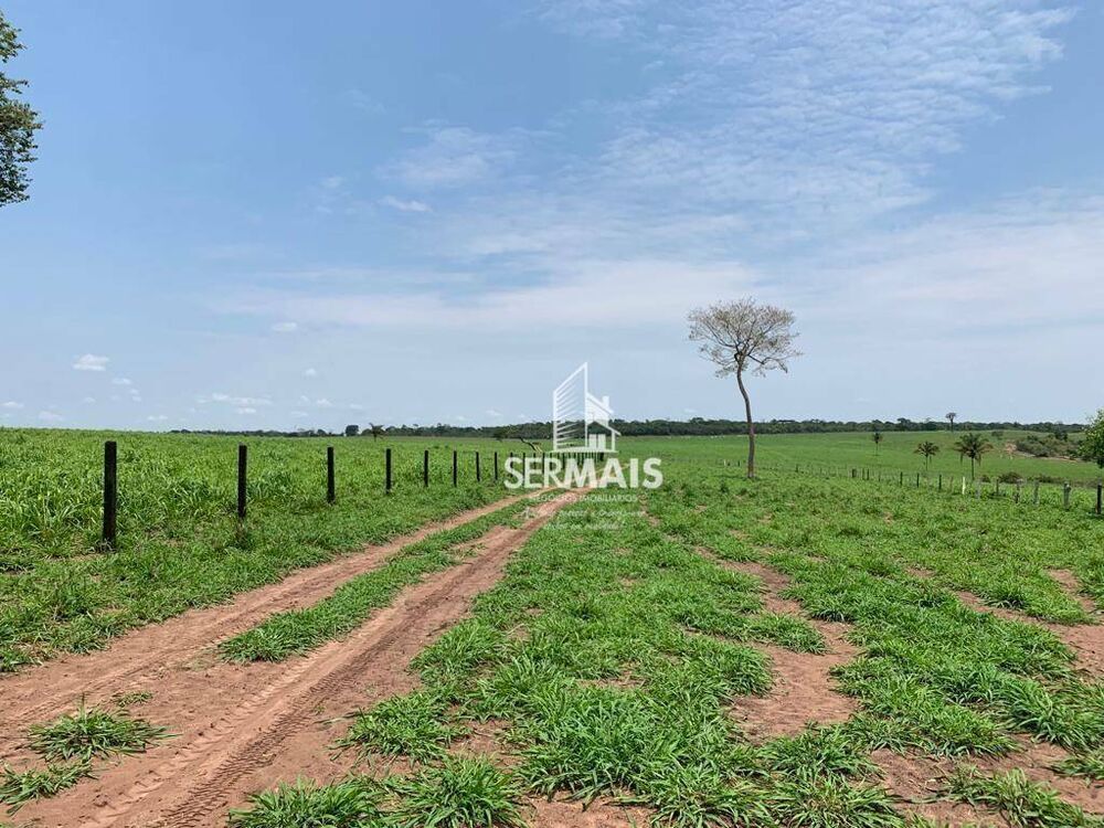 Fazenda, 257 hectares - Foto 1