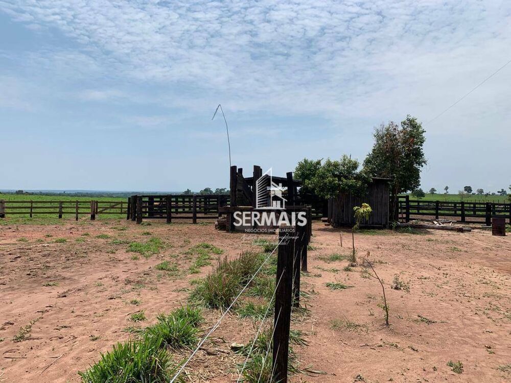 Fazenda, 257 hectares - Foto 7