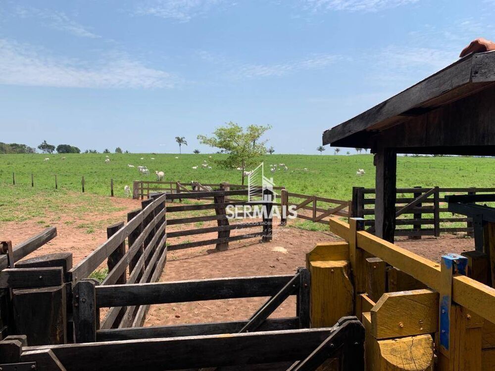 Fazenda, 257 hectares - Foto 8