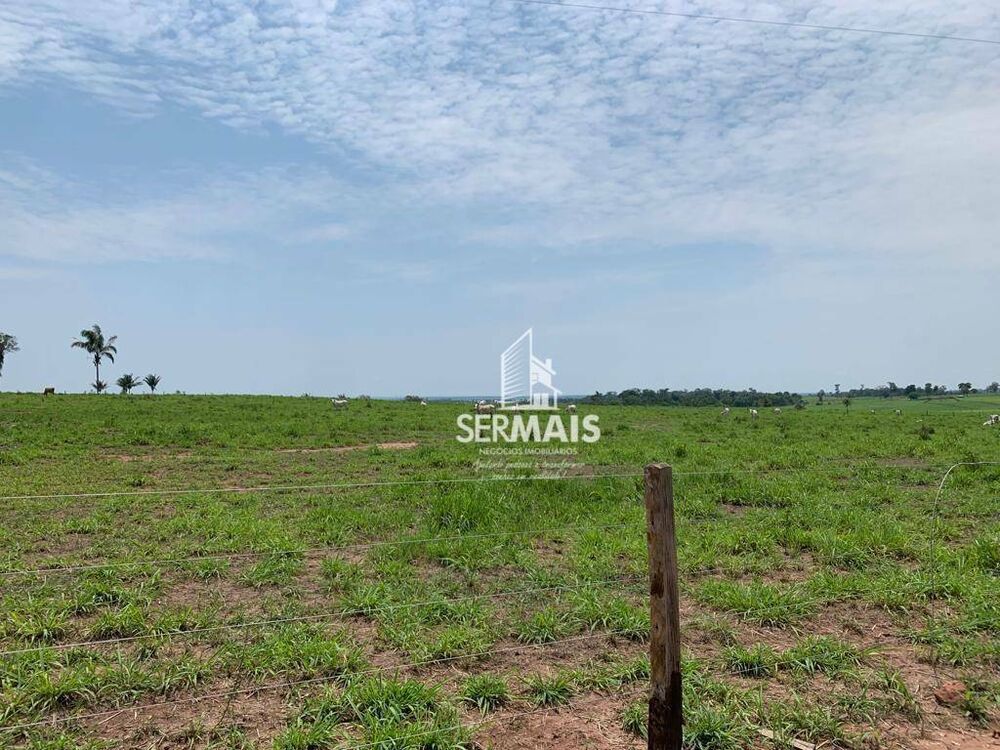 Fazenda, 257 hectares - Foto 4