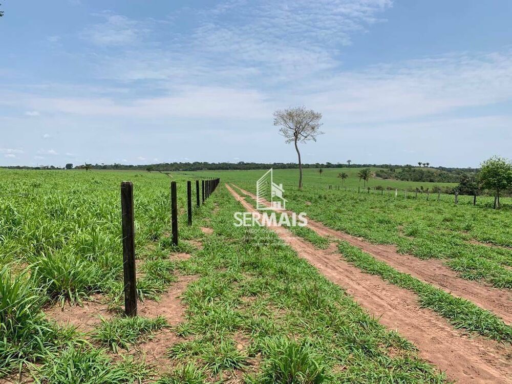 Fazenda, 257 hectares - Foto 3