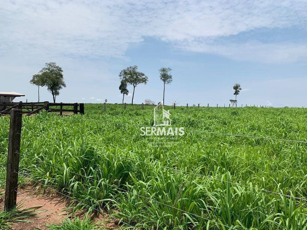 Fazenda, 257 hectares - Foto 6