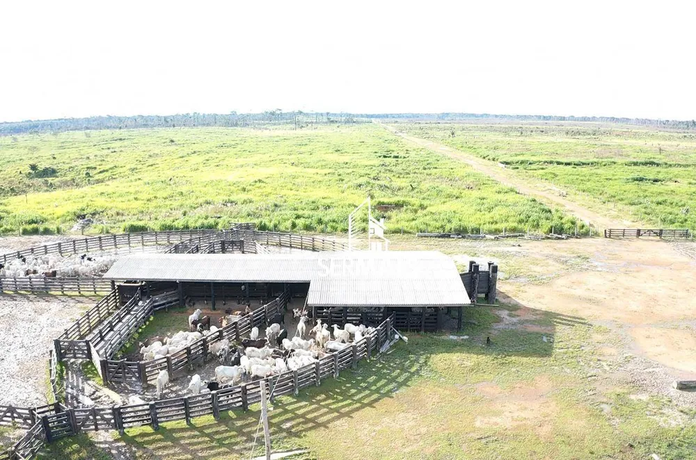 Fazenda, 2662 hectares - Foto 4