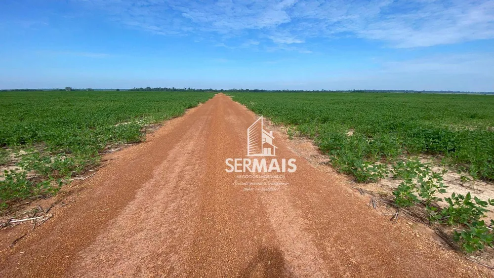 Fazenda, 305 hectares - Foto 7