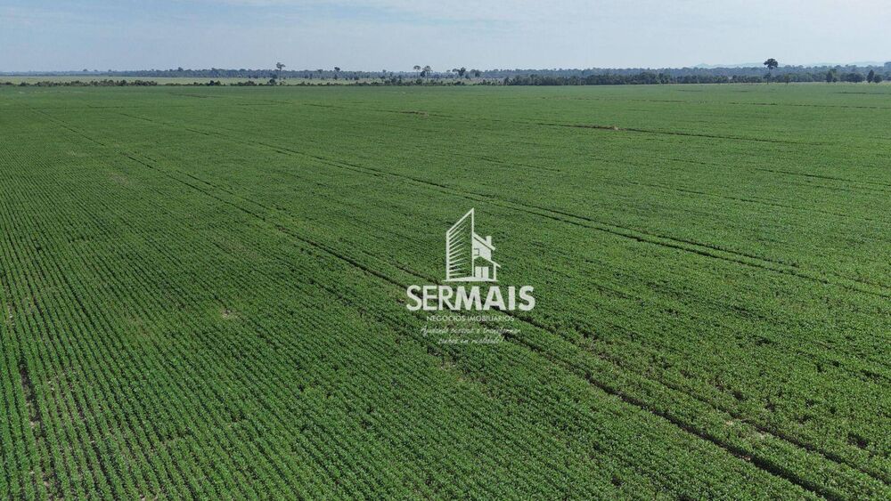 Fazenda-Sítio-Chácara, 305 hectares - Foto 4