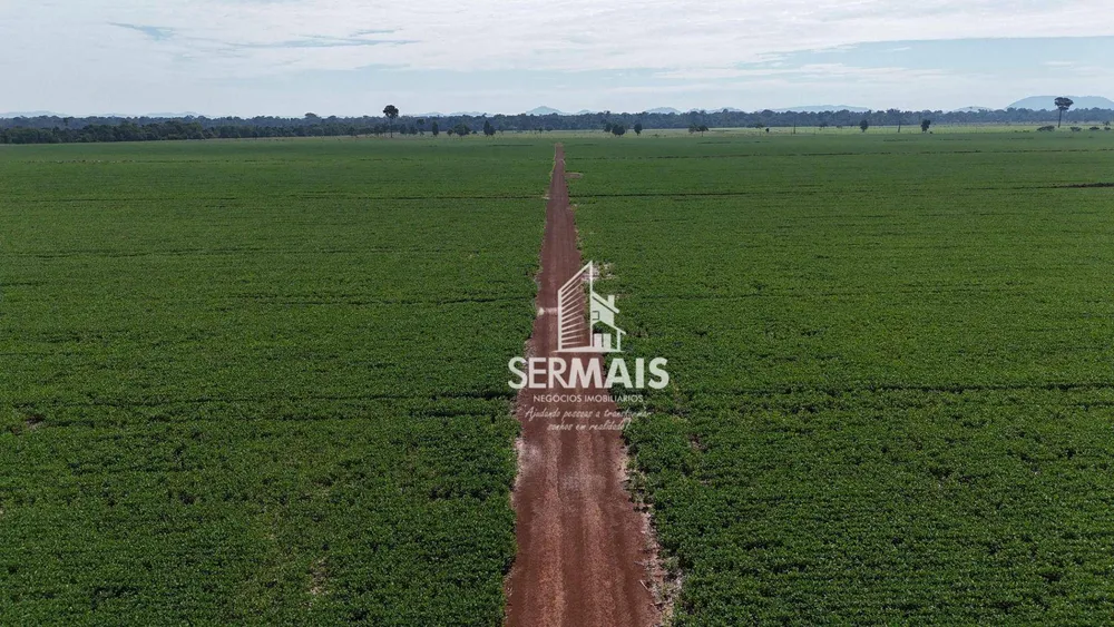 Fazenda, 305 hectares - Foto 6