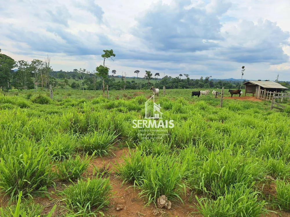 Fazenda, 436 hectares - Foto 9