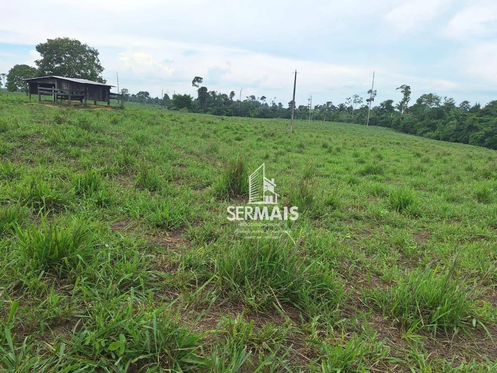 Fazenda, 436 hectares - Foto 4
